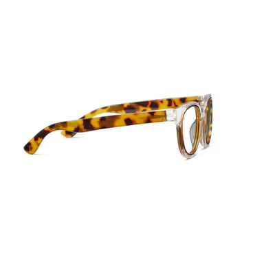 Olympia Reading Glasses