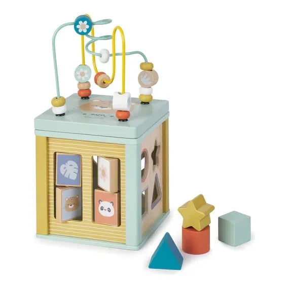 Mutli-Activity Cube