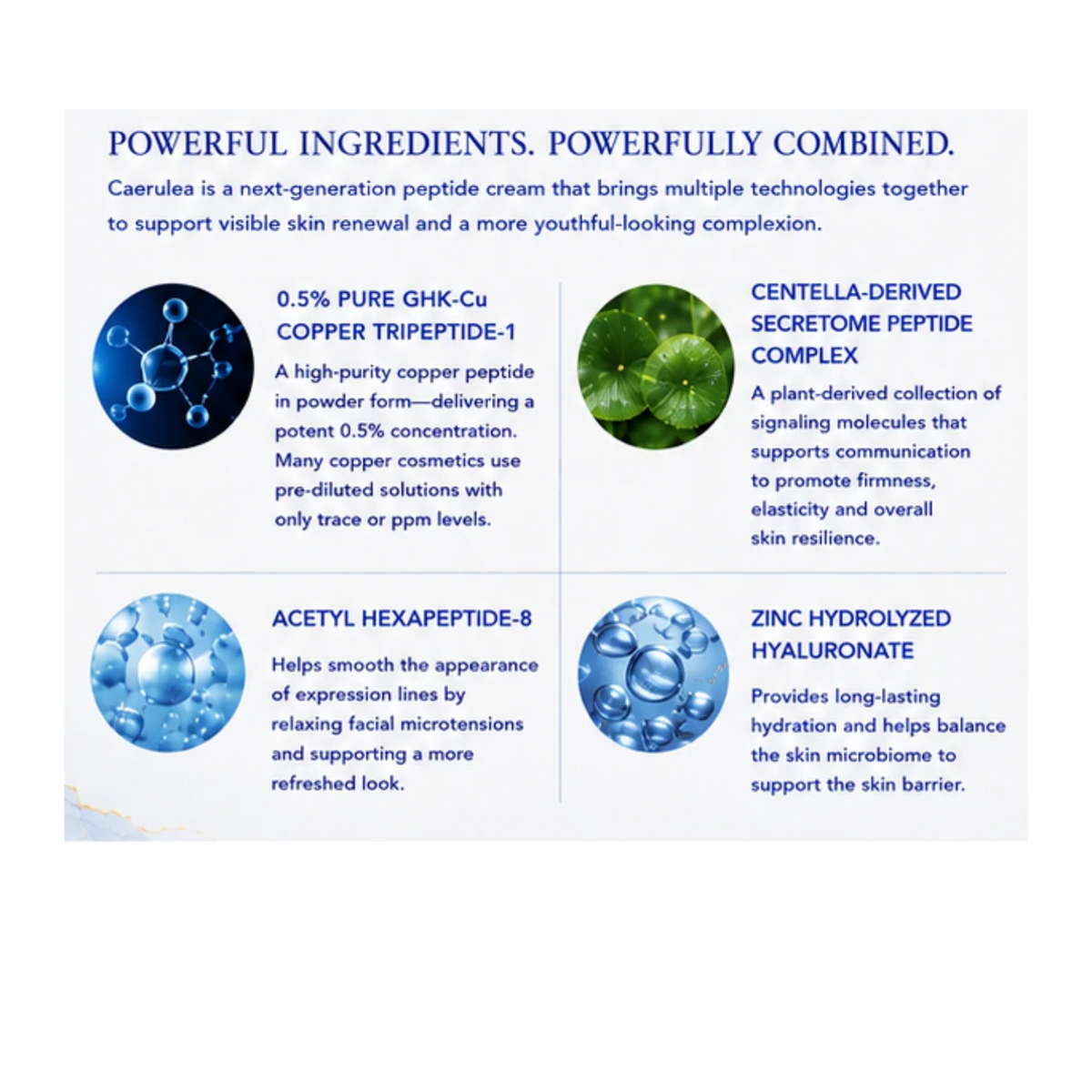 Caerulea | Advanced Peptide Rejuvenation Cream