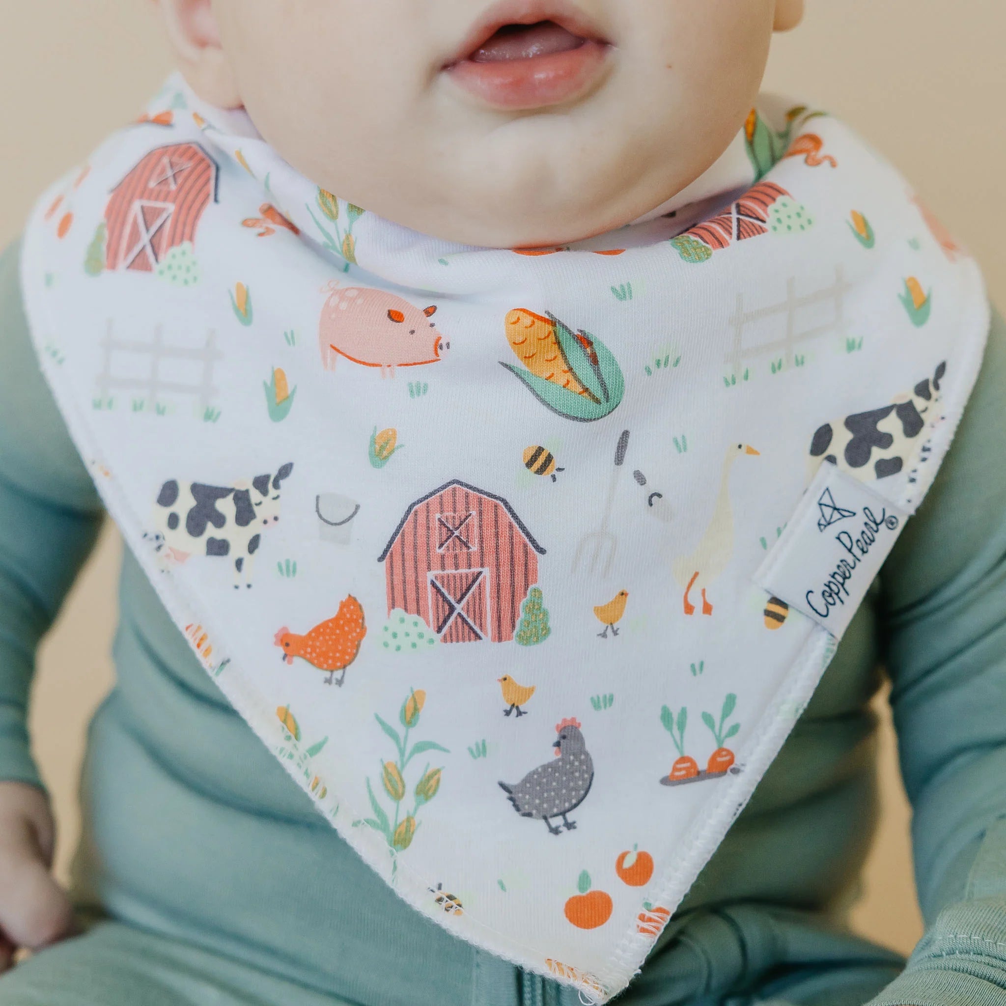Farmstead Bandana Bib Set