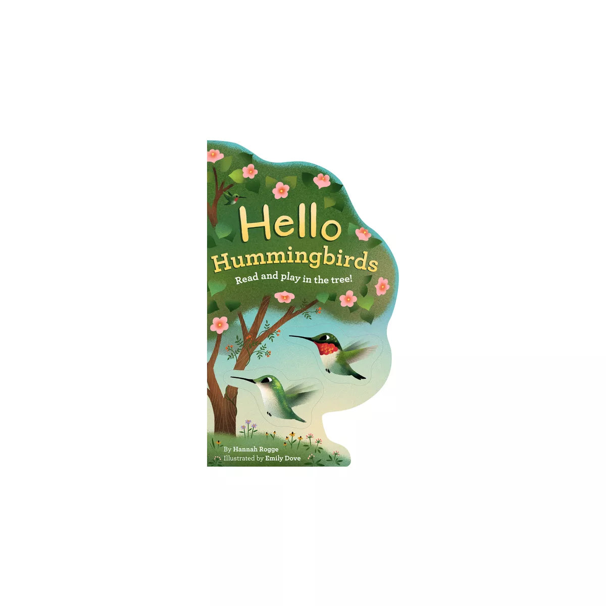 Hello Hummingbirds Book