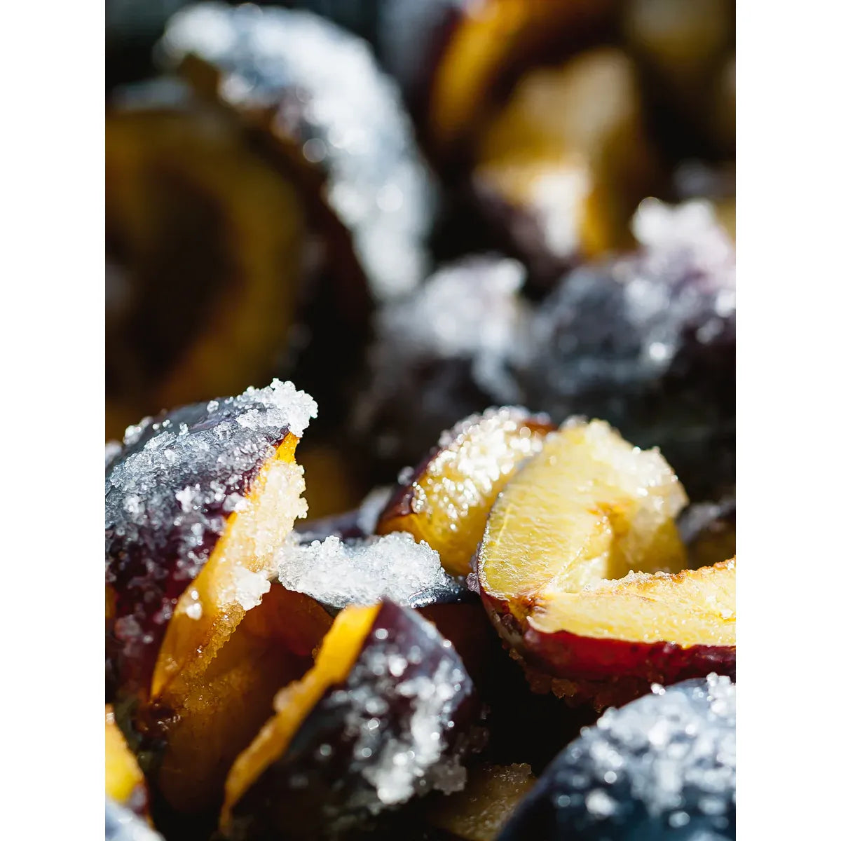 Glasshouse | Night Before Christmas