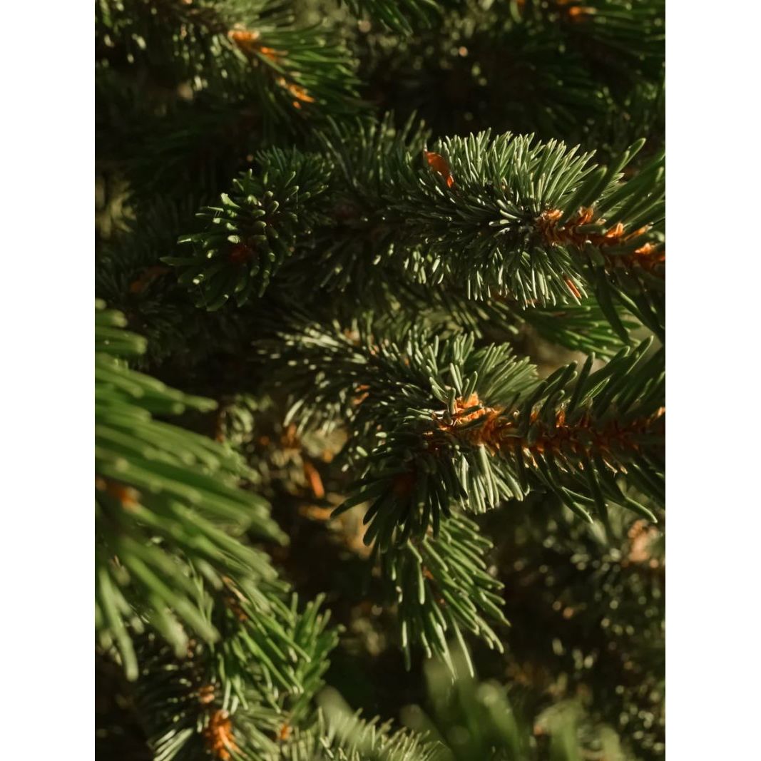 Homesick | Winter Mantel