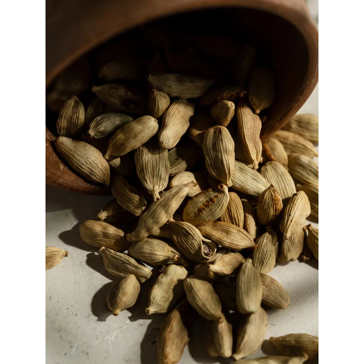 Studio McGee | Cardamom Blossom