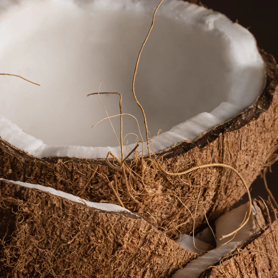 Coconut Calm Car Scent