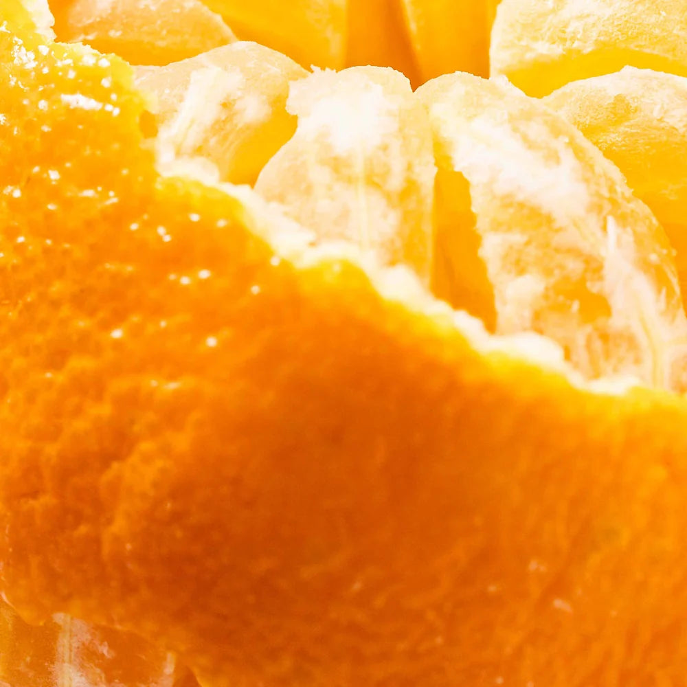 Citrus & Cream Car Pura Scent