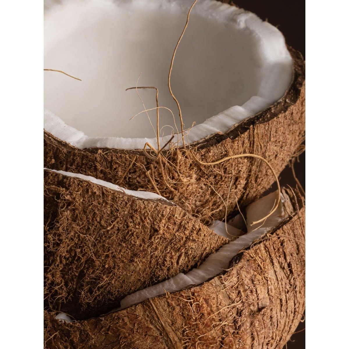 Mer Sea | Coconut Sugar Smart Vial - Miles and Bishop