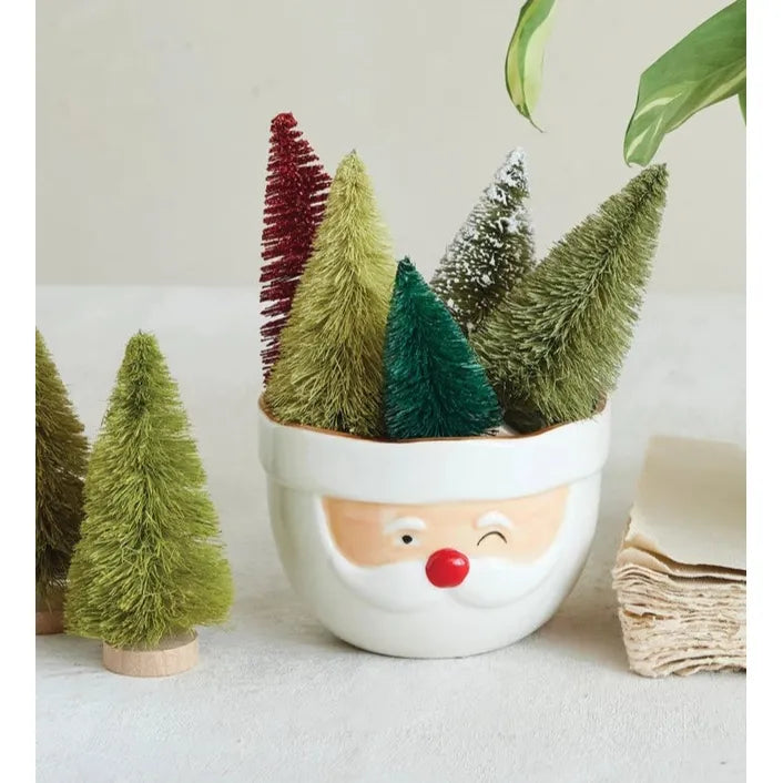 Two potted plants with face designs on a light background