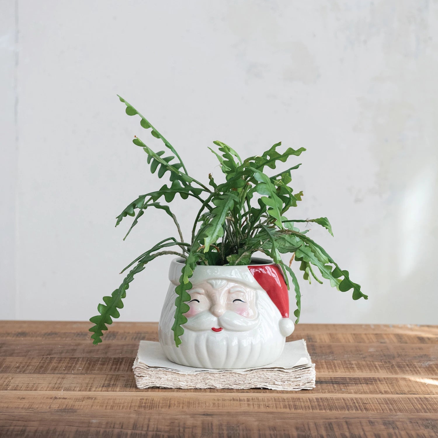 Santa Planter Pot
