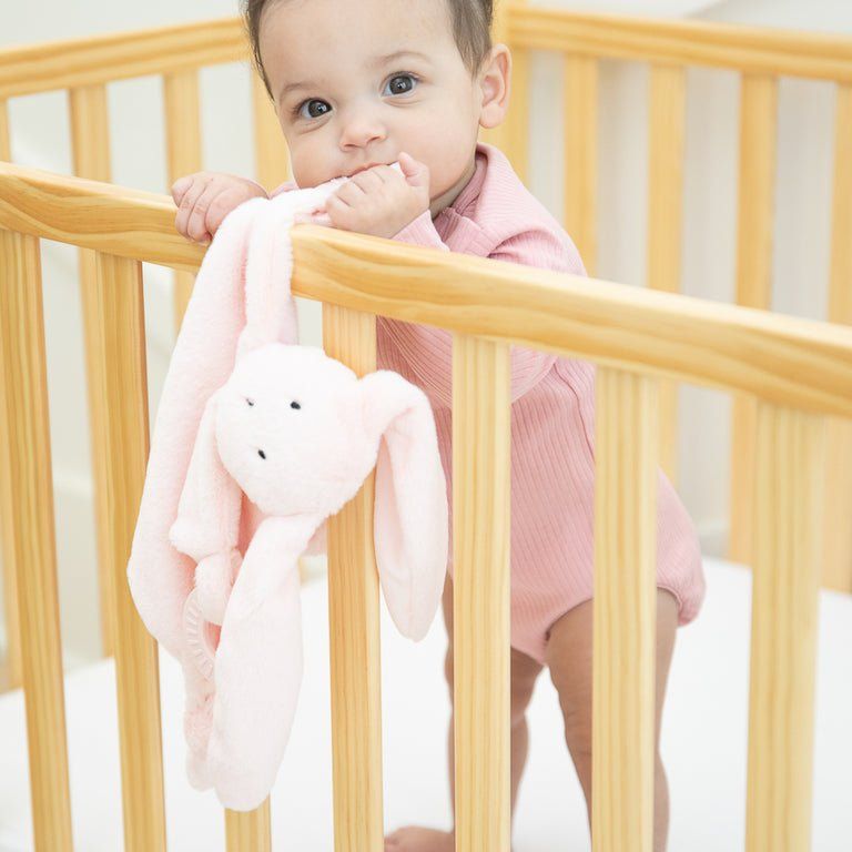 Bunny Teether Buddy - Miles and Bishop