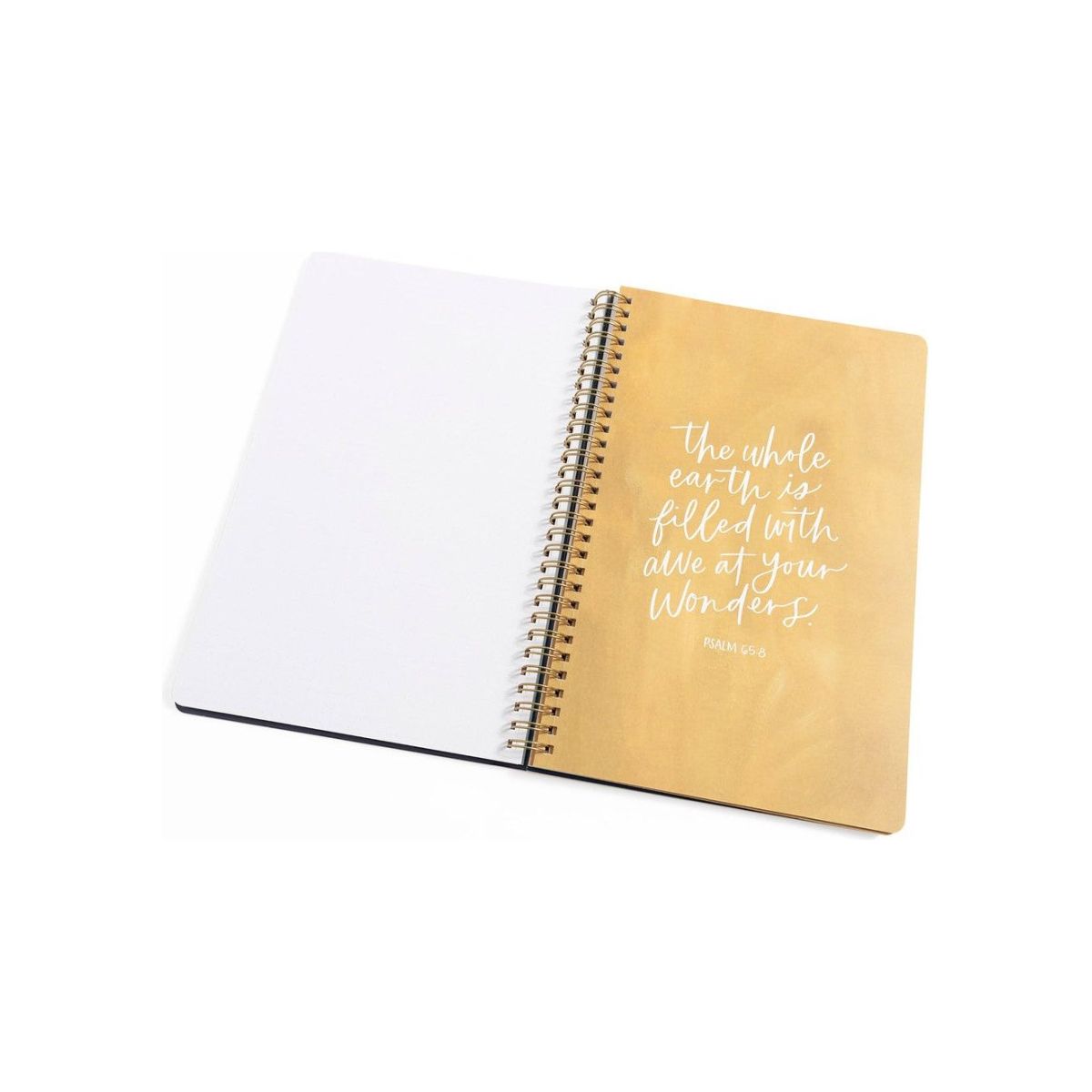 Church Notes - Starry Sky - Miles and Bishop