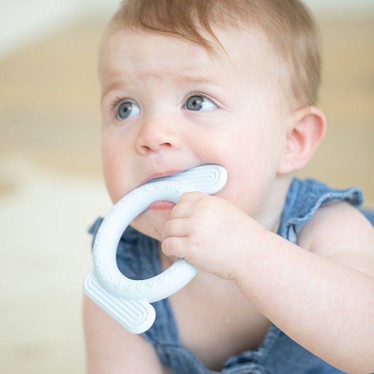 Dog Rattle Teether - Miles and Bishop