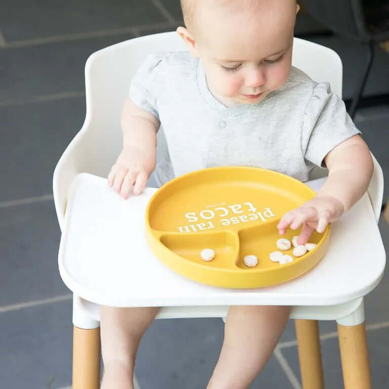 Rain Tacos Suction Plate - Miles and Bishop