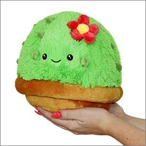 Squishable Mini Cactus - Miles and Bishop