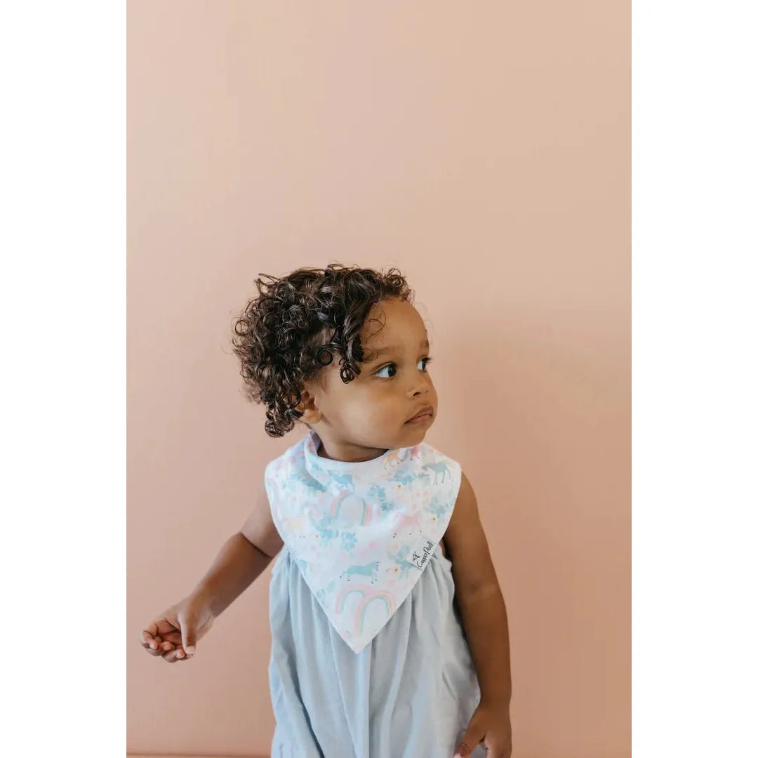 Whimsy Bandana Bib Set - Miles and Bishop